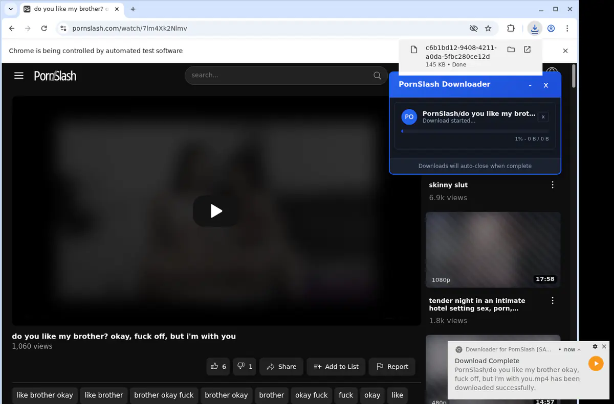 Pornslash Video Downloader browser extension screenshot 2