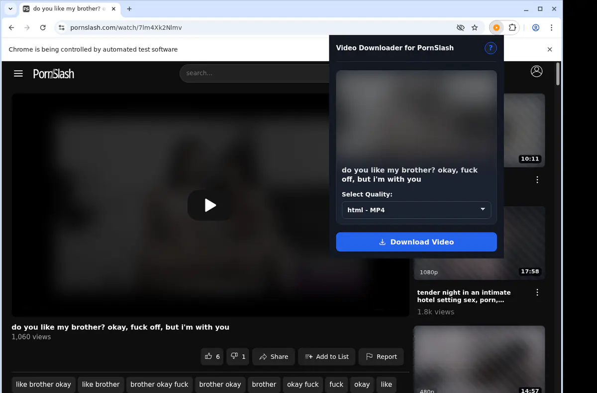 Pornslash Video Downloader browser extension screenshot 3
