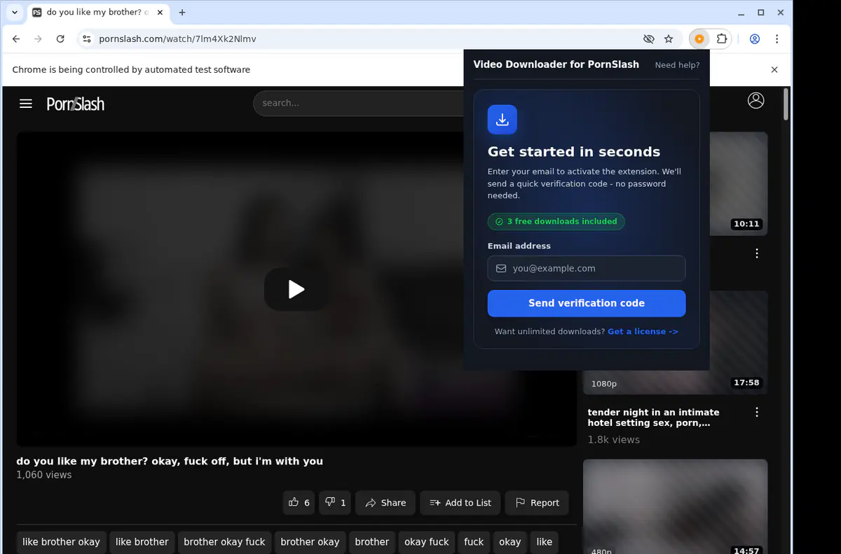 Pornslash Video Downloader browser extension screenshot 5